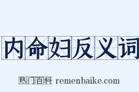 内命妇反义词是什么意思的图片